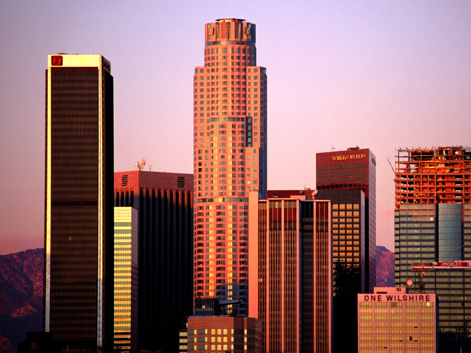 Growth,%20Los%20Angeles,%20California[1].jpg