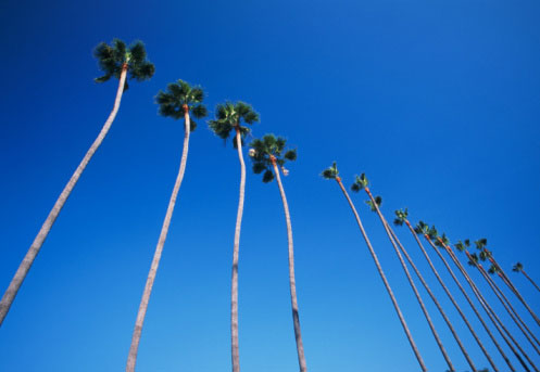los-angeles-california[1].jpg